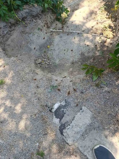 Нашестя сарани у Запорізькому районі