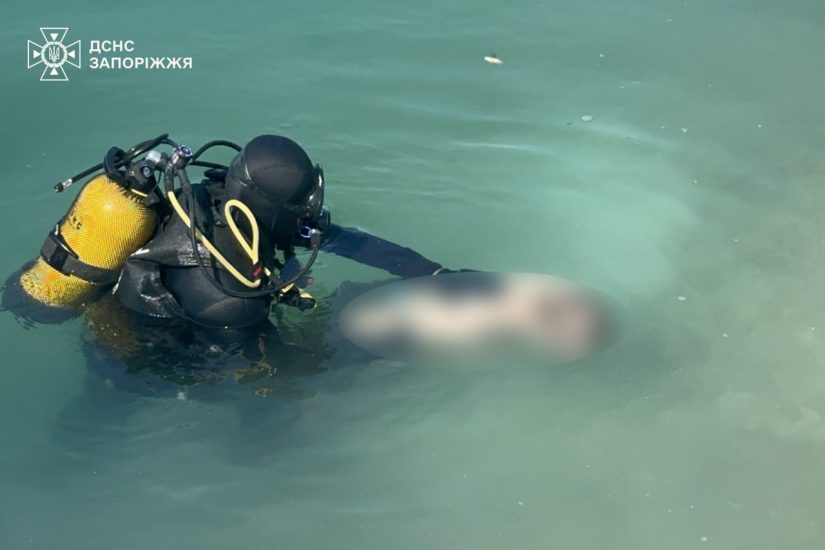 на одному з водойм Запорізького району рятувальники дістали з води тіло 17-річного юнака