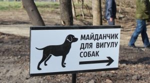 Майданчики для вигулу собак: у Запоріжжі почалося голосування