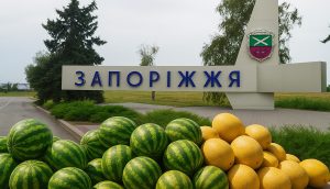 Арбузы и дыни в Запорожье: сколько стоят и как выбрать самые вкусные
