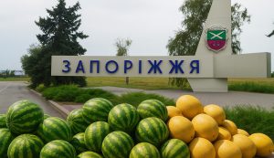 Кавуни й дині у Запоріжжі: скільки коштують та як обрати найсмачніші