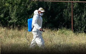 На Запоріжжі проводять обробку проти шкідників: де саме