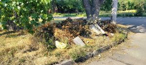 Поруч із будинками й гаражами: у Запоріжжі знову фіксують незаконні смітники