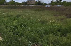 «Арматурний завод», Вирва і не тільки: в Запоріжжі очистили незаконні сміттєзвалища