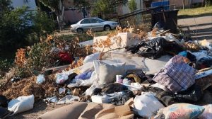 У Бердянську окупанти не вивозять сміття понад місяць: стихійні звалища ростуть щодня