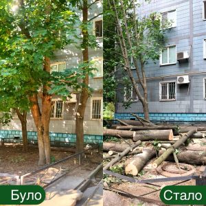 В Запорожье спилили около сотню деревьев: куда дели дрова