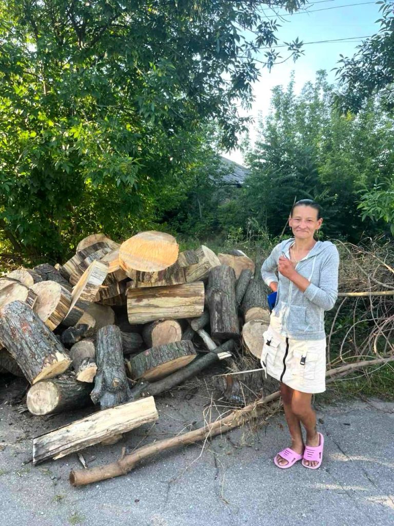 В Запорожье спилили около сотню деревьев: куда дели дрова