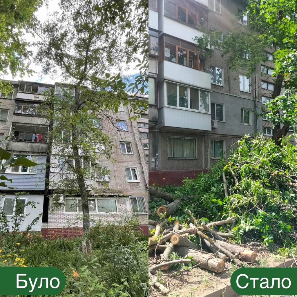 В Запорожье спилили около сотню деревьев: куда дели дрова