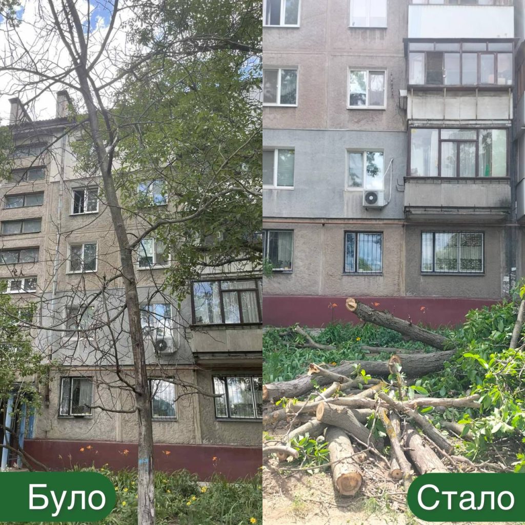 В Запорожье спилили около сотню деревьев: куда дели дрова
