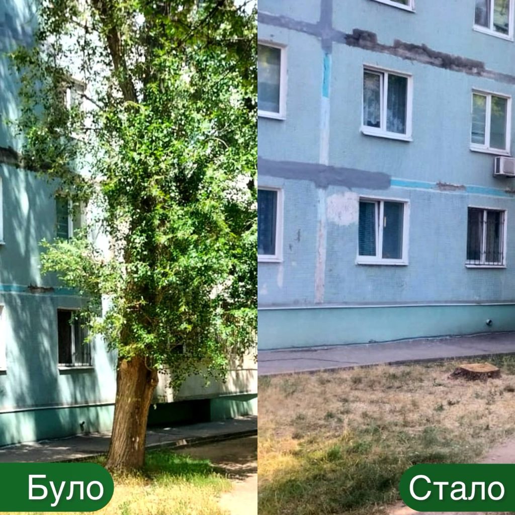 В Запорожье спилили около сотню деревьев: куда дели дрова