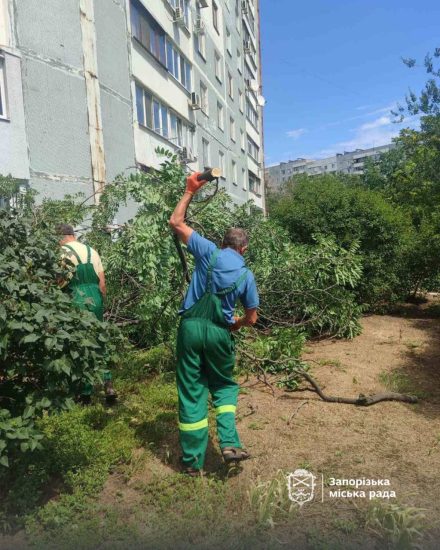 У Запоріжжі через негоду повалено дерева та перебої зі світлом