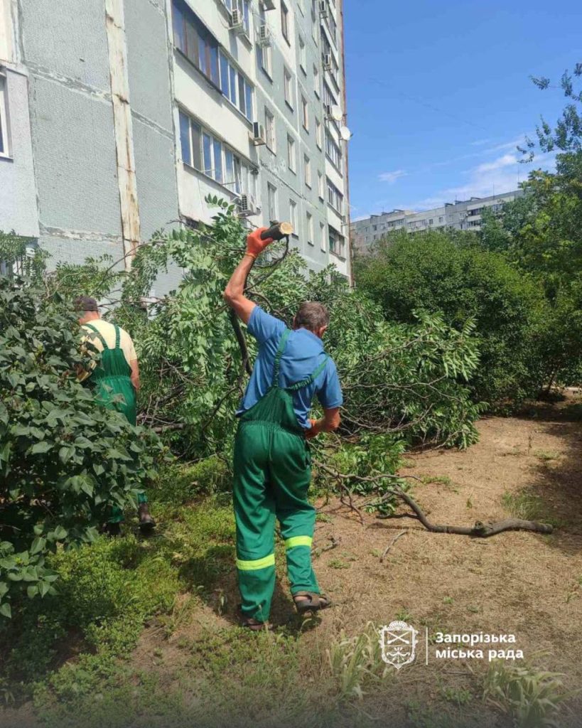 У Запоріжжі через негоду повалено дерева та перебої зі світлом