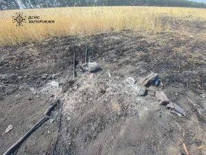 На Запоріжжі через обстріли згоріло поле ячменю (ФОТО)