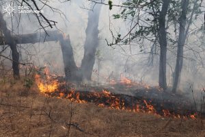 На Хортиці другу добу намагаються ззагасити масштабну пожежу (ФОТО)