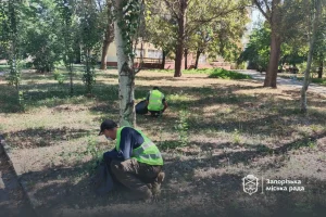 В Запорожье начали вручную вырывать амброзию: где именно