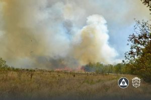 Масштабна пожежа на Хортиці – вогонь охопив близько 20 гектарів