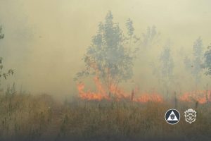На Хортиці локалізували масштабну пожежу площею 20 гектарів (ВІДЕО)