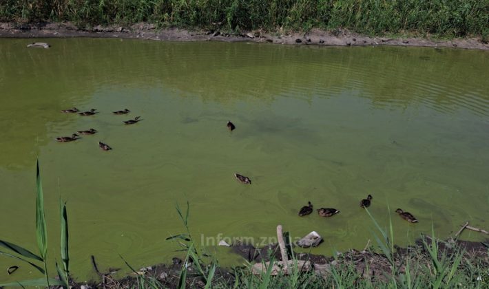 Парк Перемоги