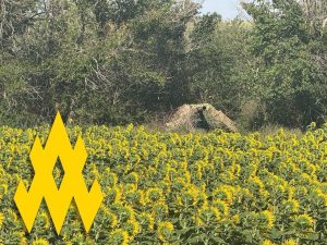 На Запоріжжі ЗСУ знищили бронетехніку окупантів (ФОТО)