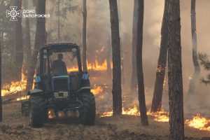 50 гектаров в огне: под Запорожьем потушили масштабный пожар (ФОТО, ВИДЕО)
