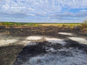 У Запорізькому районі горіла суха трава: загинула жінка
