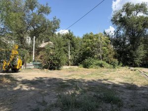 У Запоріжжі видалили дерева: де саме