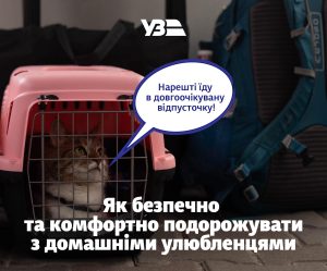 “Укрзалізниця” оновила правила перевезення тварин в поїздах: що треба знати запоріжцям