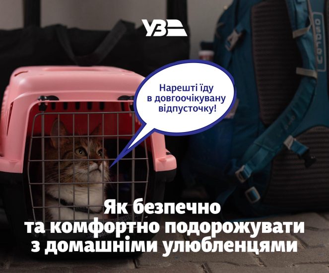 Укрзалізниця оновила правила перевезення тварин в поїздах