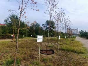 Не надали приміщення: у Запоріжжі перенесли обговорення парку Тарасова 