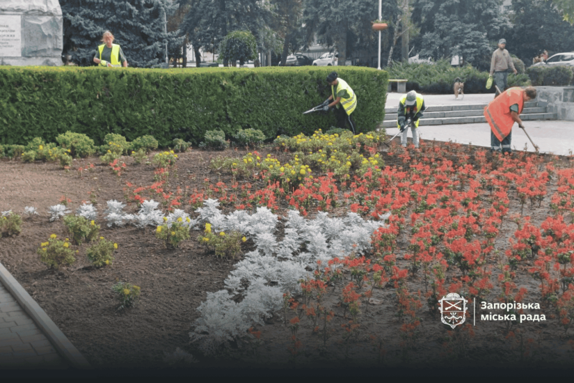 На майдані Університетський висадили 6 тисяч квітів