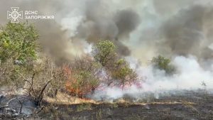 На Хортиці у Запоріжжі повністю ліквідували пожежу: деталі