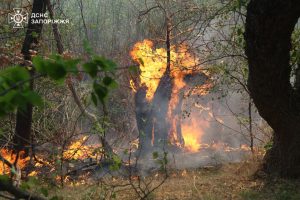 На Хортиці у Запоріжжі ліквідовують велику пожежу: що відомо