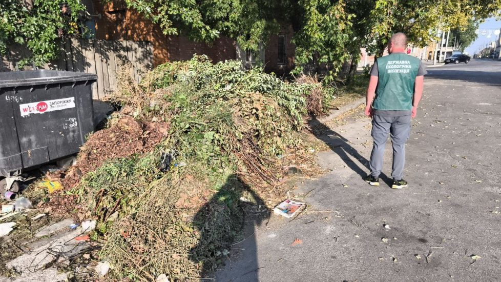 В Олександрівському районі Запоріжжя виявили несанкціоноване сміттєзвалище