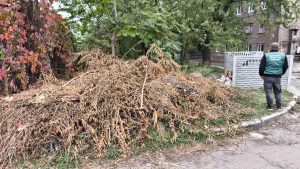 У центрі Запоріжжя виявили велике сміттєзвалище (ФОТО)
