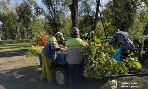В парке «Дубовый гай» высадили 60 деревьев (ВИДЕО)