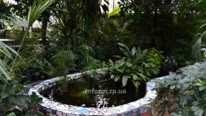 У Запоріжжі ботанічний сад тимчасово зачиняється: причина