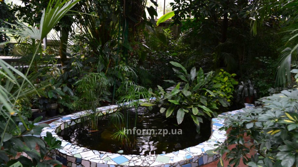 В Запорожье ботанический сад временно закрывается: причина