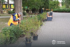 В одном из скверов Запорожья высадят 220 кустов (ФОТО)
