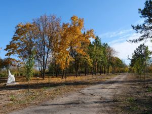 У Запоріжжі розробили модель організації та впорядкування територій парків і скверів