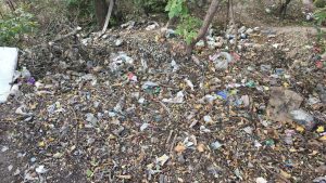 У Запоріжжі виявили велике сміттєзвалище: де саме