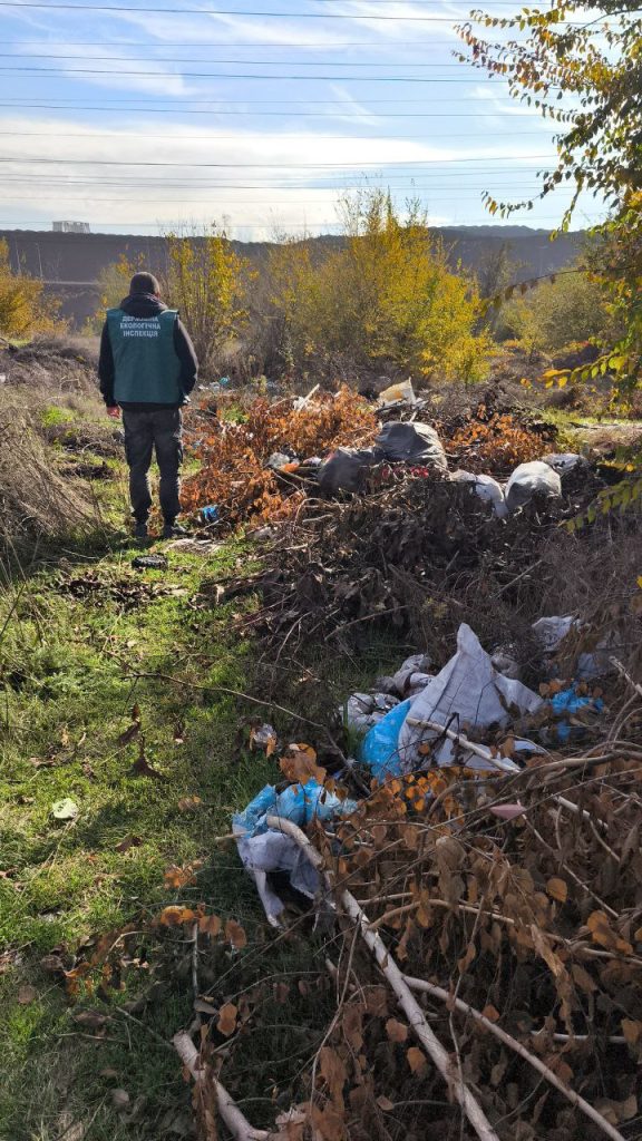 У Заводському районі Запоріжжя виявили стихійне сміттєзвалище