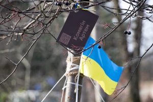 У Запоріжжі висадили понад 200 дерев: де саме