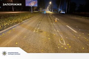 В Запорожской области водитель насмерть сбил пенсионера и скрылся: полиция разыскивает виновника