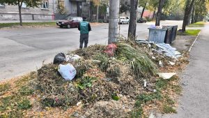 В центре Запорожья — горы отходов: экологи зафиксировали нарушение