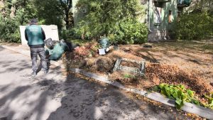 16 квадратів відходів просто у дворі: у Запоріжжі виявили нове стихійне звалище