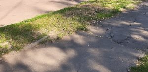 У центрі Запоріжжя прибрали кілька несанкціонованих звалищ (ФОТО)