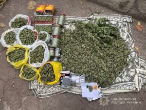 Елітні сорти канабісу і мільйон щомісяця: у Запоріжжі викрили наркогрупу