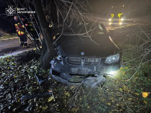 У Запоріжжі водій врізався у дерево (ФОТО)