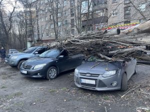 Сильний вітер у Запоріжжі: повалені дерева перекрили дороги та пошкодили авто (ФОТО)
