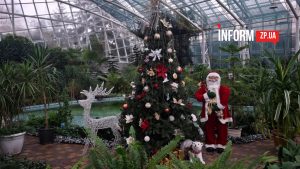 У Запоріжжі відкрили новорічну фотозону в ботанічному саду (ФОТО)